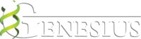 Logo Genesius Construction et Réseaux