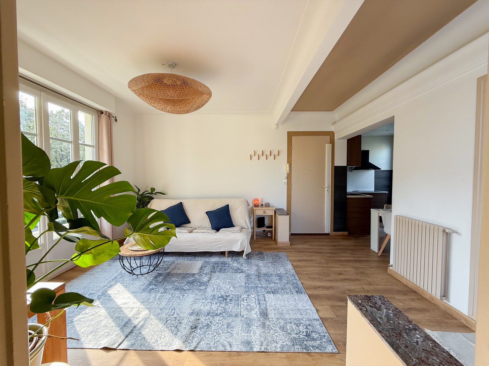 Séjour vue palmier appartement Cimiez